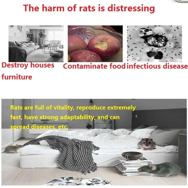 1/2/2005 Darabok Hatékony 50 G Egér Patkány Ricide Csali Teljesítmény Egerek Replikációs Otthoni Kerti Gyilkosság - Image 3
