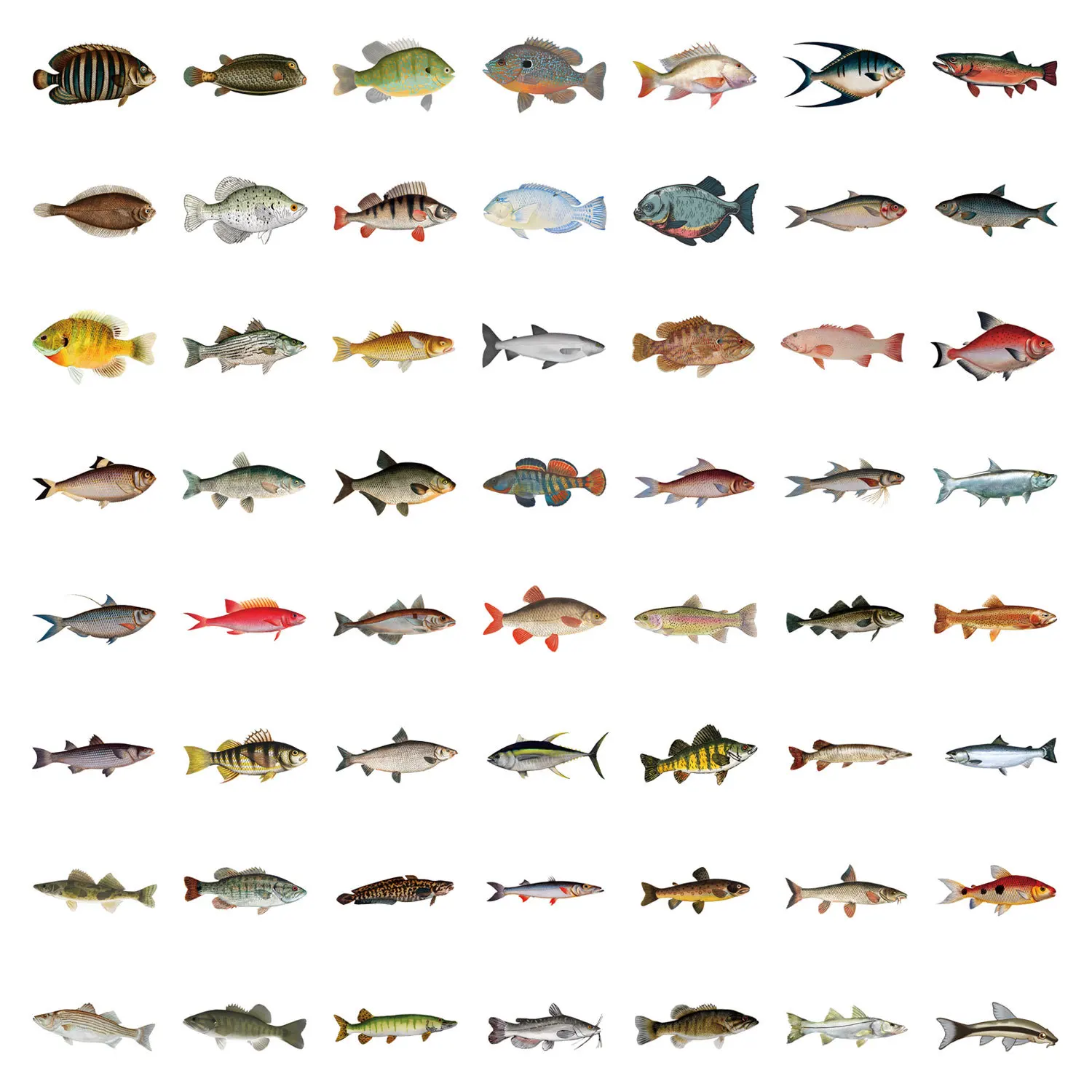 Cartoon Fish Graffiti Sticker 110pcs for Suitcase Water Cup Computer