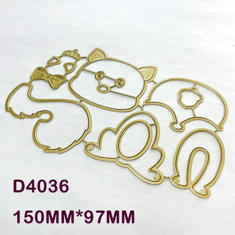 dsc-products