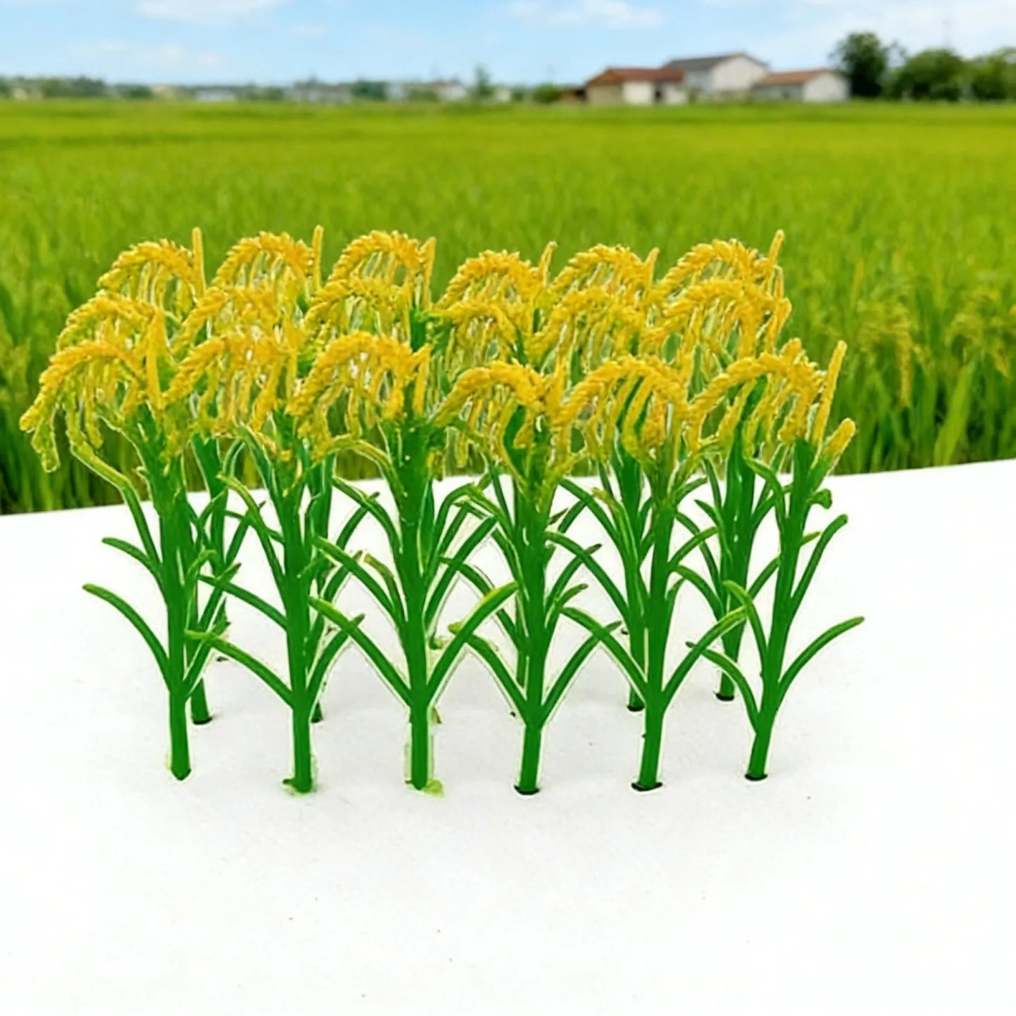 미니어처 시뮬레이션 작물 옥수수 줄기, 중국산 배추, 밀, 쌀, 시뮬레이션 농장 장면