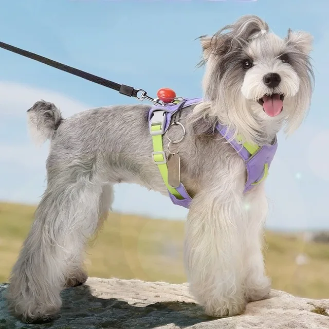 Light Weight Dog Chest Back Outdoor Dog Chest Strap Against Yarn-dyed Belt Pet Traction Speed DryPrevent Break Away Breathable 4