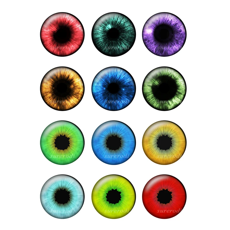 DIY 공예품용 초박형 유리 카보숑 인형 눈 칩, BH172, 봉지 당 12 쌍, 14mm