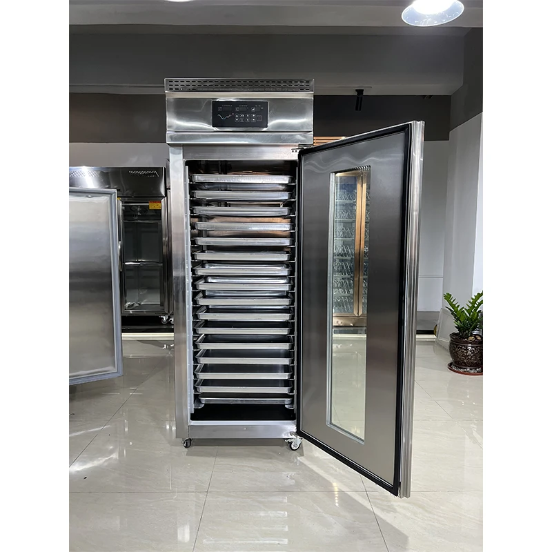 Wholesale Price Commercial Fridge Refrigerator Single Door Refrigeration Equipment Freezers Stainless Steel Chest Freezer Deep - Image 6