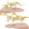 3D Skeleton Dinosaur Hands Craft 7 Pieces DIY Dinosaur Bone 3D Puzzles for Adults Dinosaurs Skeleton Model Puzzles STEM Toys 1
