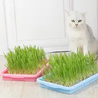 Seedling Sprouter Tray Plant Tray Seedling Tray Propagation Tray Large Capacity Wheatgrass Grower Microgreens & Nursery Tray For 2