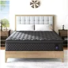 Queen Mattress,14 Inch Hybrid Mattress Black,Euro Top Mattress Medium Firm for Back & Lumbar Support,100 Night Trial, Individual 1