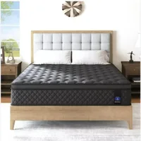Queen Mattress,14 Inch Hybrid Mattress Black,Euro Top Mattress Medium Firm for Back & Lumbar Support,100 Night Trial, Individual 1