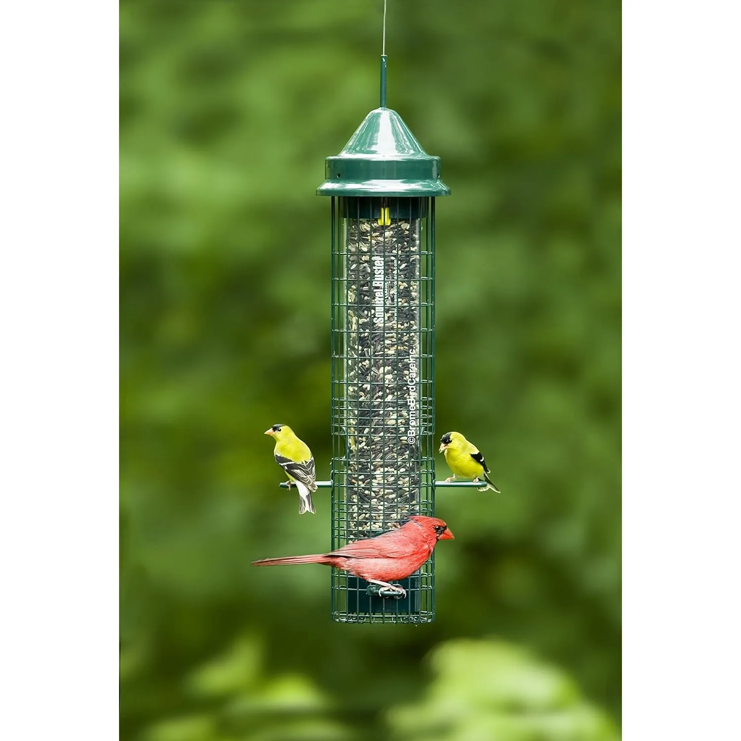 Classic Squirrel-proof Bird Feeder w/4 Feeding Ports, 2.4-pound Seed Capacity