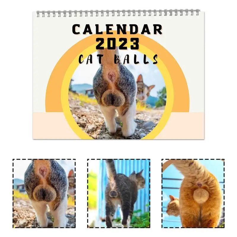 고양이 엉덩이 공 달력, 2023 동물 고양이 달력, 홈 거실 장식, 고양이 애호가에게 새해 크리스마스 선물