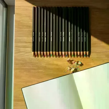 Set di Matite da Disegno in Legno di Alta Qualità - Kit Professionale da 12 Pezzi per Pittura, Ombreggiatura e Progetti Artistici Dettagliati