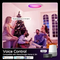 Zigbee Tuya Smart Ceiling Light WIFI RGB Remote Control APP Alexa Google Voice Dimmable Living Room Bedroom LED Ceiling Lamp 5