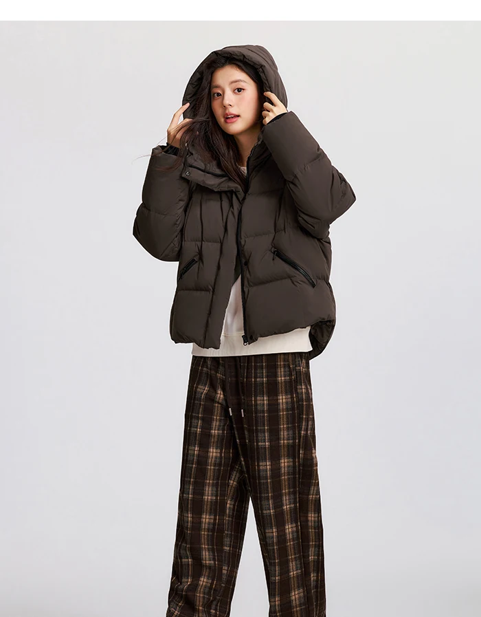 Down Jacket Women Loose Hooded New Winter Waterproof and Windproof Outerwear