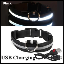Luminous LED Rechargeable Pet Collar with Detachable Design - M 37-46 CM (Black USB Charging)