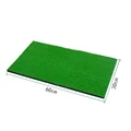 Short Grass-60CM