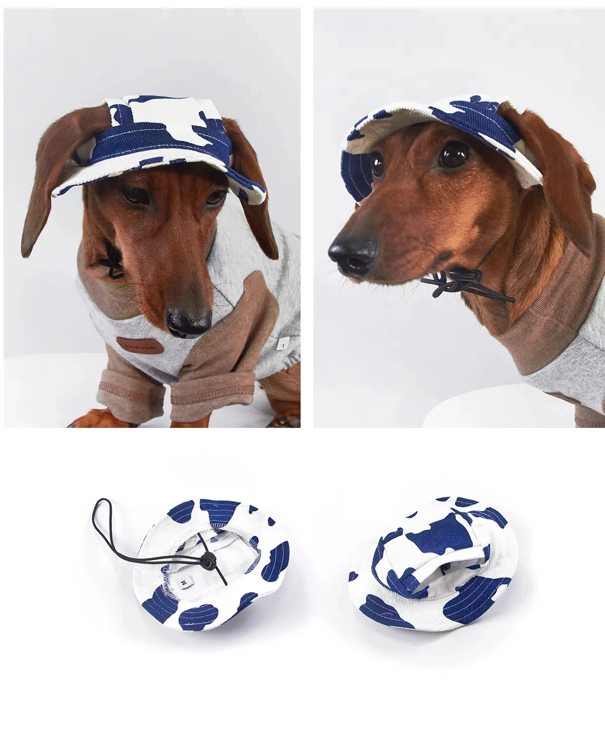 Dachshund wearing an adjustable brown cow print pet sun hat with ear holes and a black elastic chin strap toggle