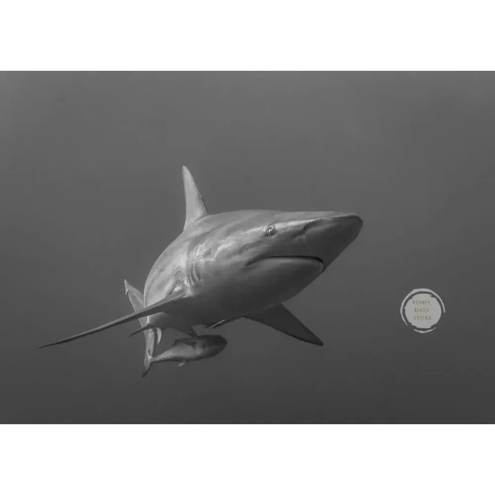 Great White Shark Ocean Giants Canvas Art - Nature Wall Decor Poster