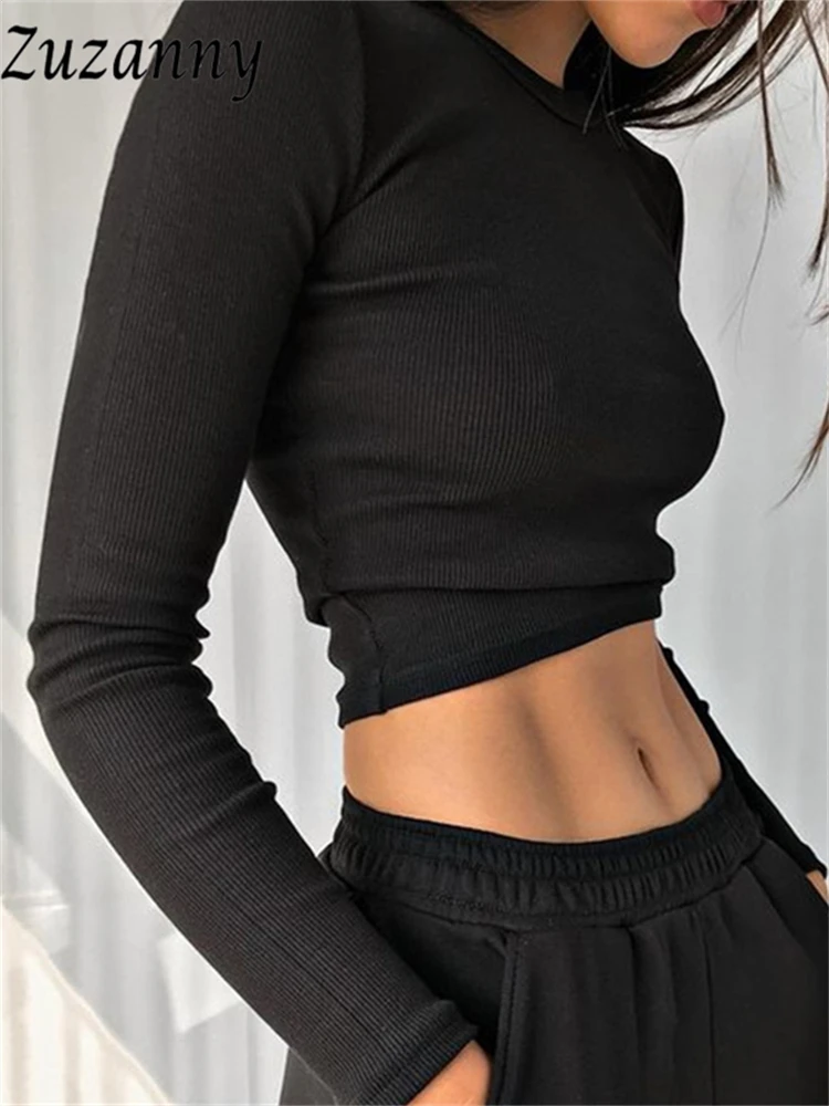 Brandy Melville Gray Ribbed Long Sleeve Cropped T-Shirt Minimalist