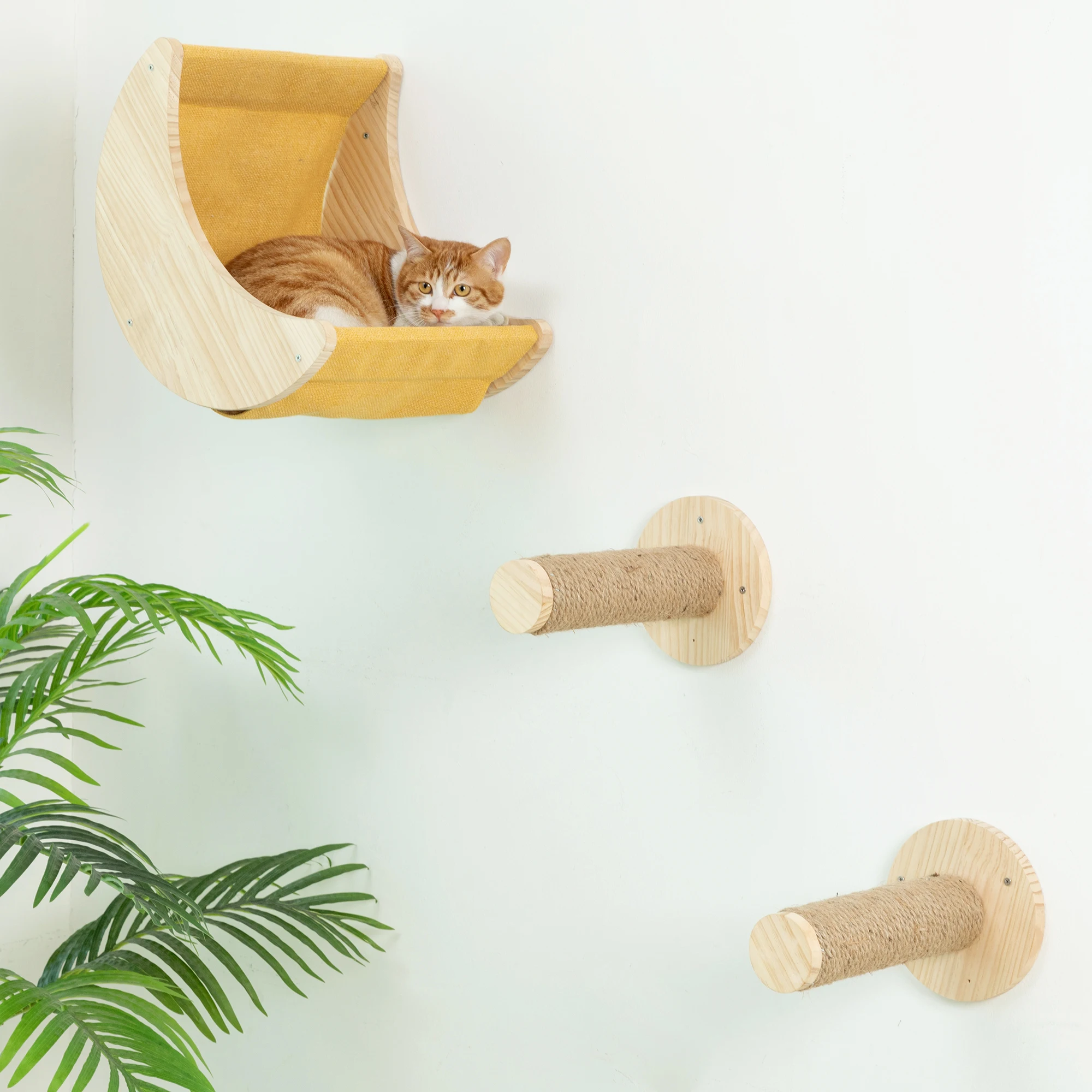 strelen uitgehongerd leerboek Katten Meubels Massief Houten Muur Huis Kooi Indoor Moderne Kat Muur Planken  Hangmat Klimmen Zitstokken Krabpaal Kat Boom Maan - AliExpress