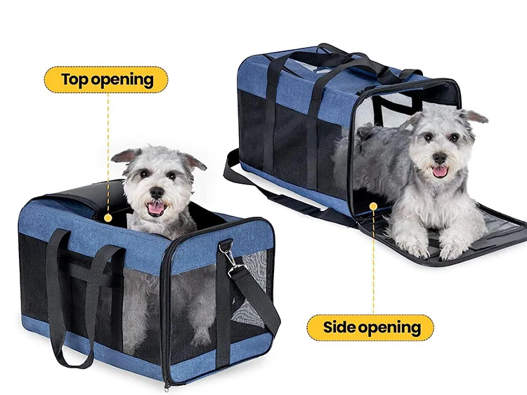 Title 9, Portable Airline Approved Soft Sided Dog Should...
