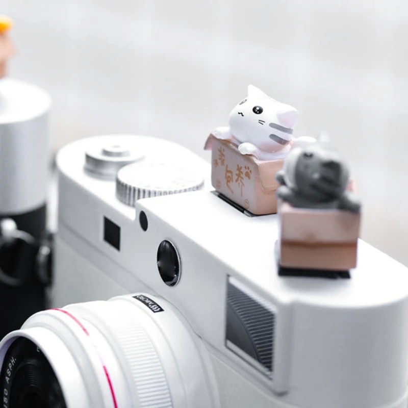 

Hot Shoe Protector Cap Hot Shoe Cover for Creative Design for Camera Decor