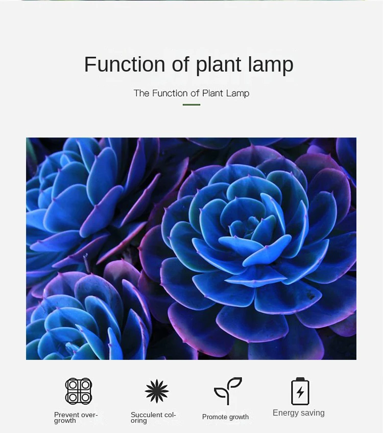 Sbb7f0cffcdf34f93b0d9e3bba4f55552k