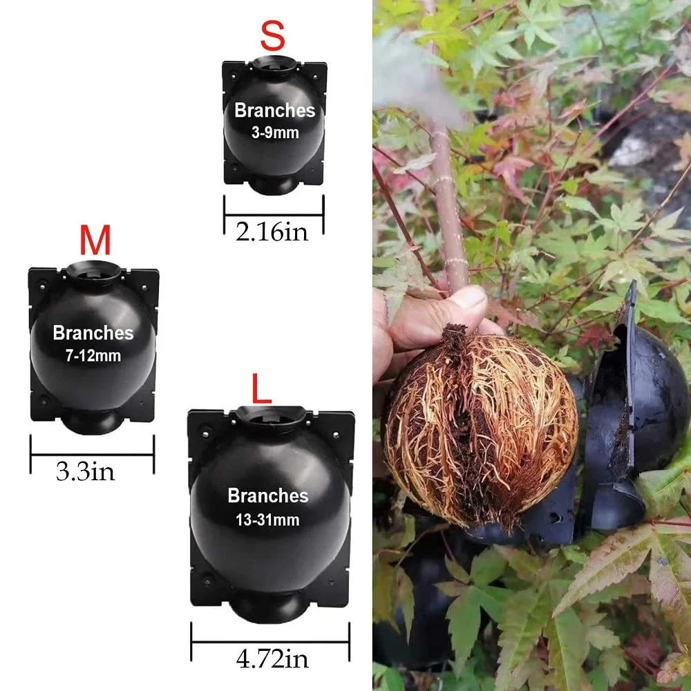 10PCS Plant Rooting Ball Air Layering Propagation Kit High Pressure Propagation Ball Growing Box For Garden Plant Grafting Tools