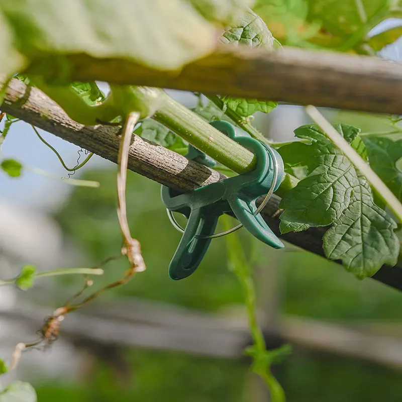 Reusable Garden Greenhouse Clips for Plant and Flower Support