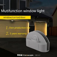 Outdoor Decorative IP65 10W  KTV Lamp Hotel Door Flame Window Lights DC24V Lamp 1
