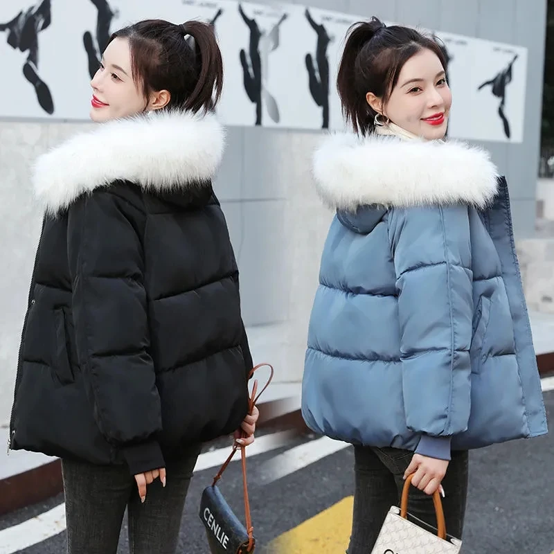 2023 Off-season Cotton Jacket Korean Version Versatile Thickened Student Bread Jacket Winter Coat Short Cotton Jacket ins Trend