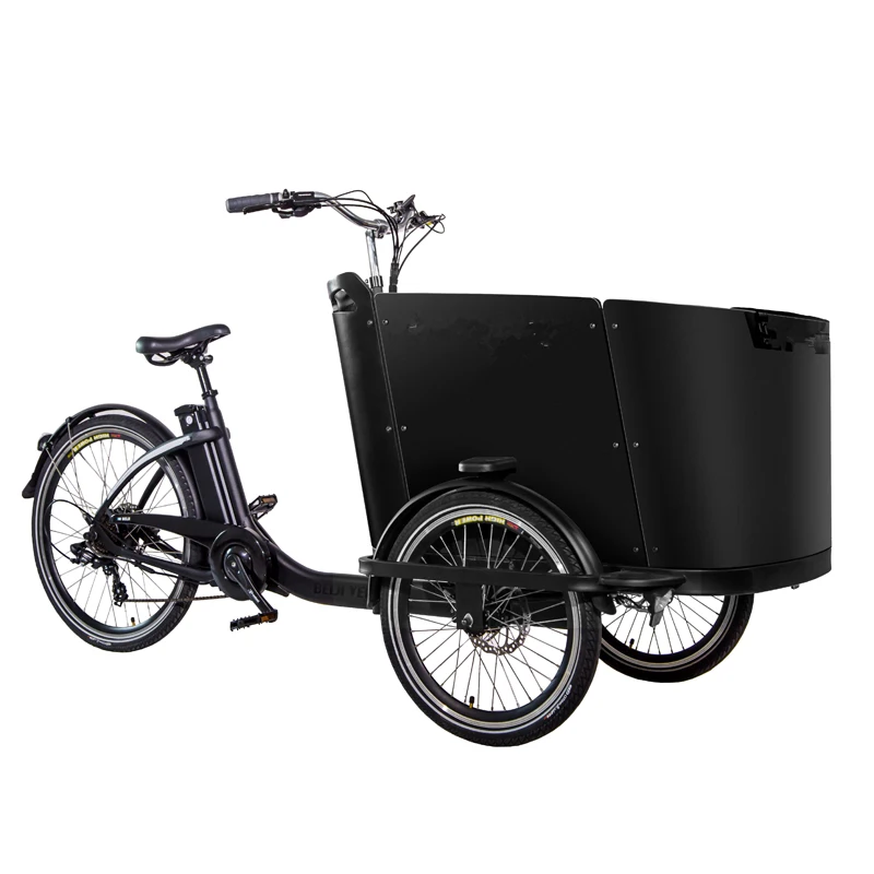 front cargo child seat seater box pedal assist rear drive motor wheel family outgoing 3 wheel electric bike front cargo child seat seater box pedal assist rear drive motor wheel family outgoing electric bike 3 wheel for adults