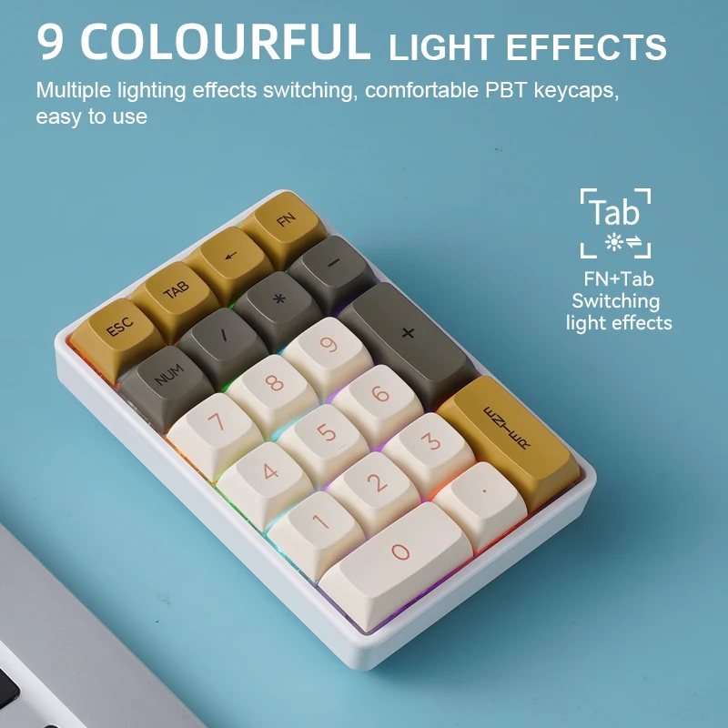 FREEWOLF K21 무선 기계식 숫자 키패드 21키 트리플 모드 블루투스 2.4G USB-C 핫스왑 RGB 숫자 패드 (회계용)