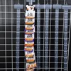 1/5pcs Hanging Strips Supermarket Snack Plastic Store Hang Snacks Display Hanger Hooks Useful Shop Merchandising Clip Strips 2