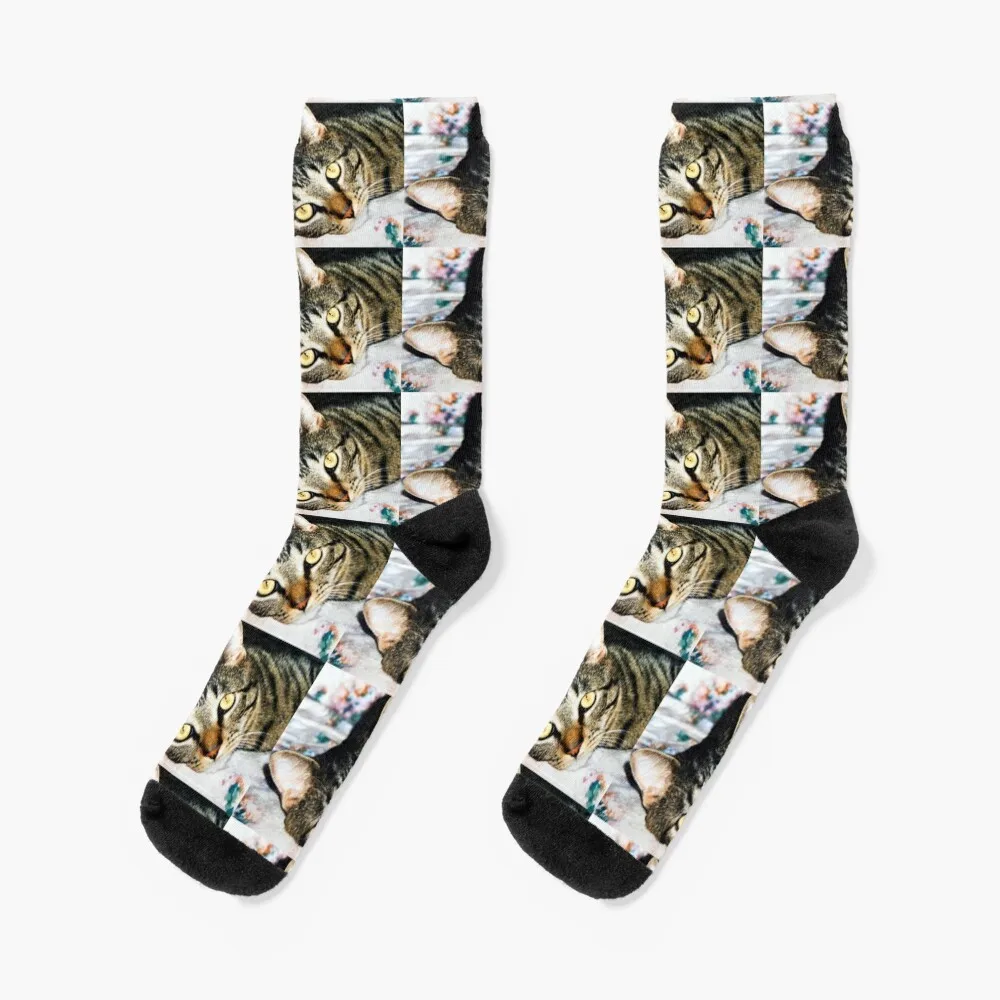 

Brown Tabby Cat Socks retro floral Socks Girl Men's