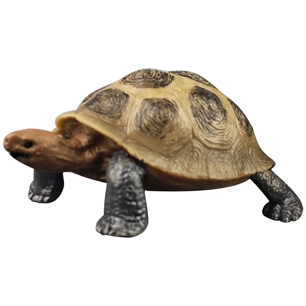 

Simulation Turtle Tortoise Desktop Decoration Plastic Toy Ocean Animals Land Figurine Realistic Ornament Children’s Toys