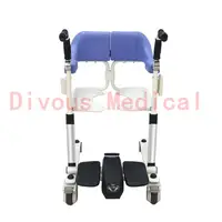 Free Shipping electric lift elderly care bath chair bathroom transfer wheelchair 2
