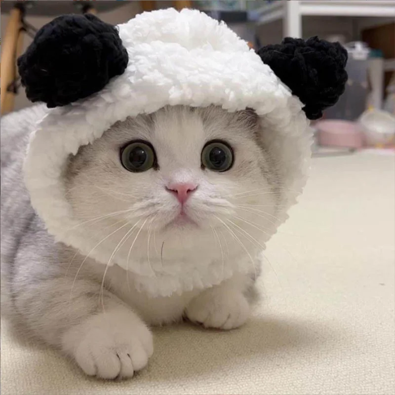 https://ae01.alicdn.com/kf/Sbb9dec3d37da4cf5b2d92d1641812f8cB/Funny-Pet-Cat-Caps-Cute-Bear-Ears-Cat-Hat-Warm-Plush-Pet-Headwear-Cosplay-Photo-Props.png