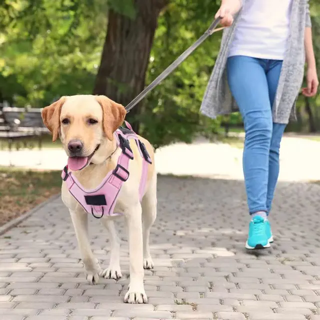 No Pull Dog Harness with Locator Silicone Protective Cover Anti slip Adjustable Pet Chest Harness for Medium & Large Dogs 3