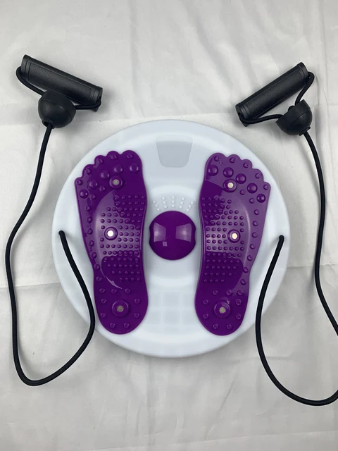 Magnetic Waist Twisting Disc 3