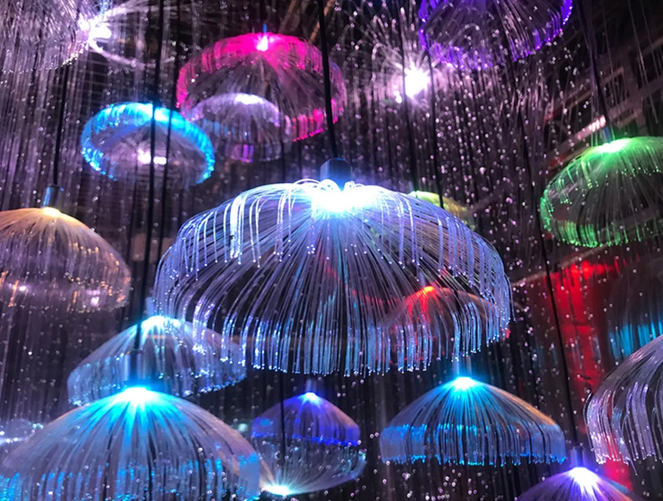 

Jellyfish light color changing LED optical fiber light restaurant clear bar atmosphere chandelie outdoor waterproof decoration