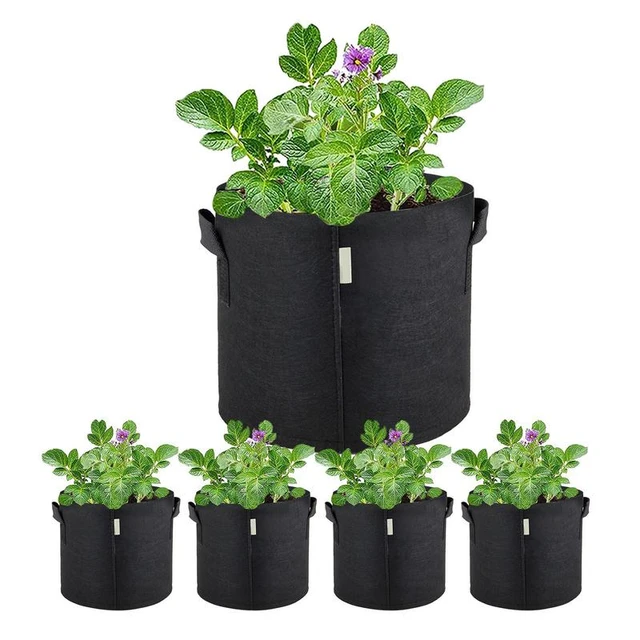 Fabric Planters Grow Bags 5pcs Heavy Duty Thickened Fabric Planters Pots  Aeration Plant Grow Bags For Outdoor Indoor Garden - AliExpress