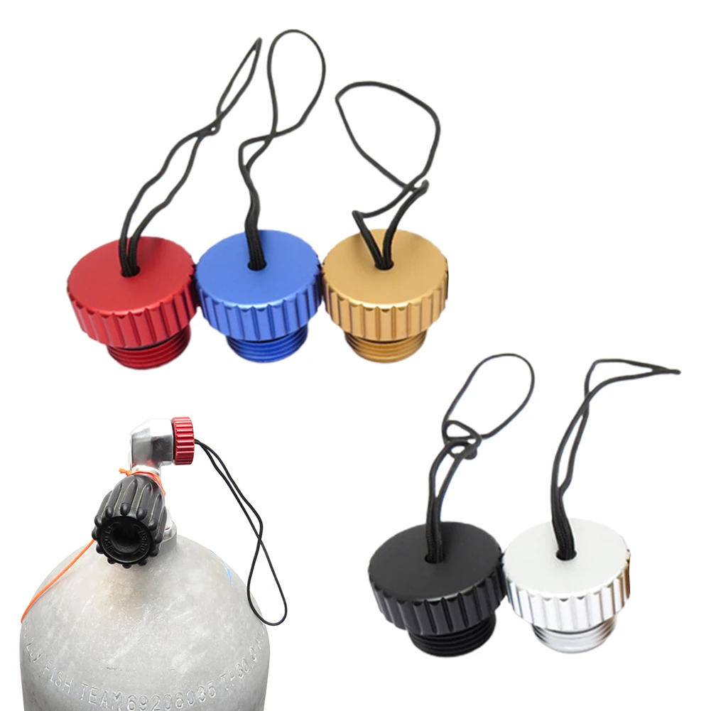 Рисунок 6 - Пылезащитная заглушка