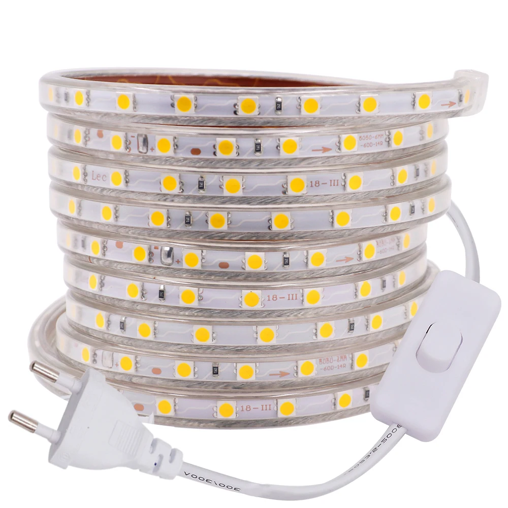 

LED Strip Light Flexible Neon Strip Outdoor Waterproof Diode Tape AC220V SMD5050 60LEDs/m LED Ribbon ON OFF Switch Decorative