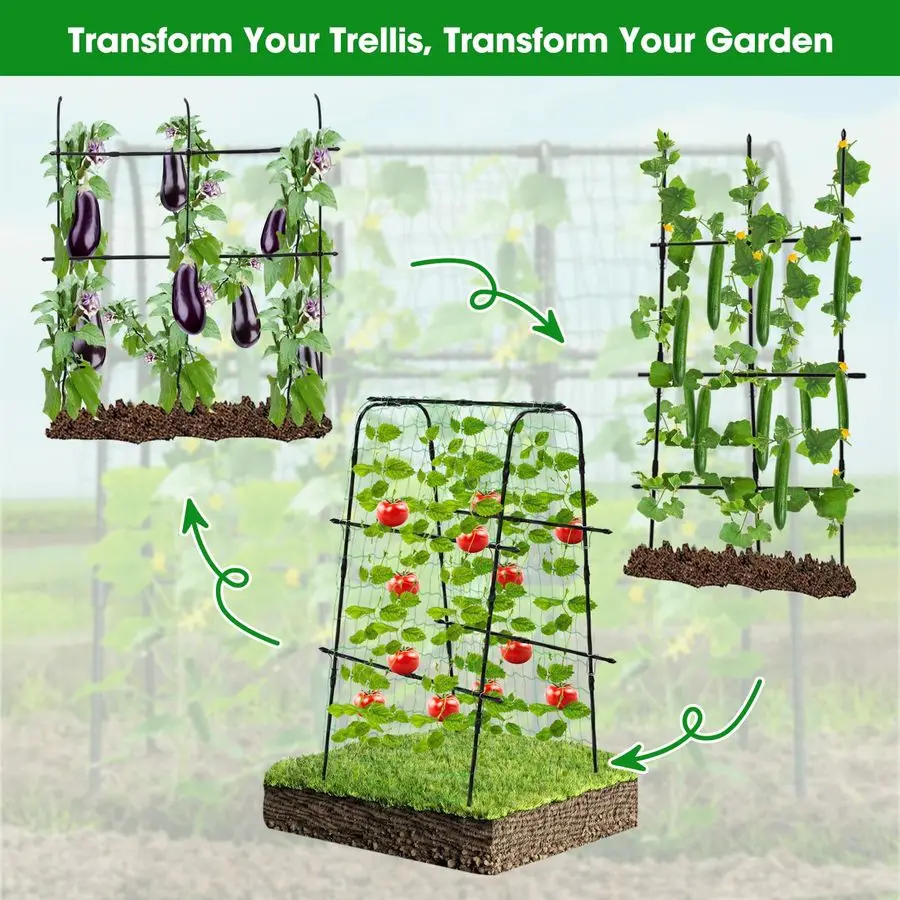 Garden trellis example 4
