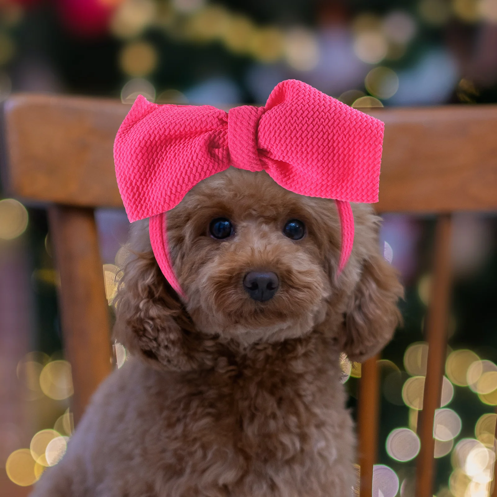 

Dog Headband Pets Cats Alive Party Props Polyester Supplies Headdress Bow Headbands