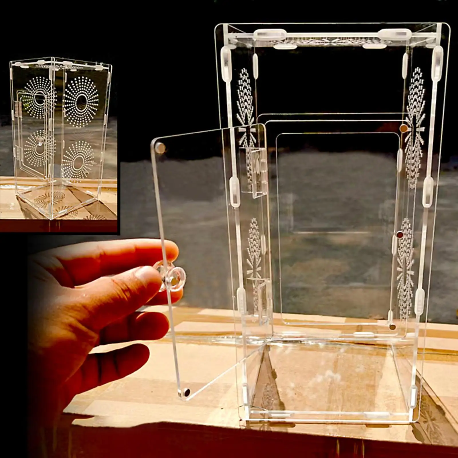 Acrylic Habitat Enclosure for Mantis Jumping Spider 15x15x30cm Accessory Quick Installation Multifunctional Transparent