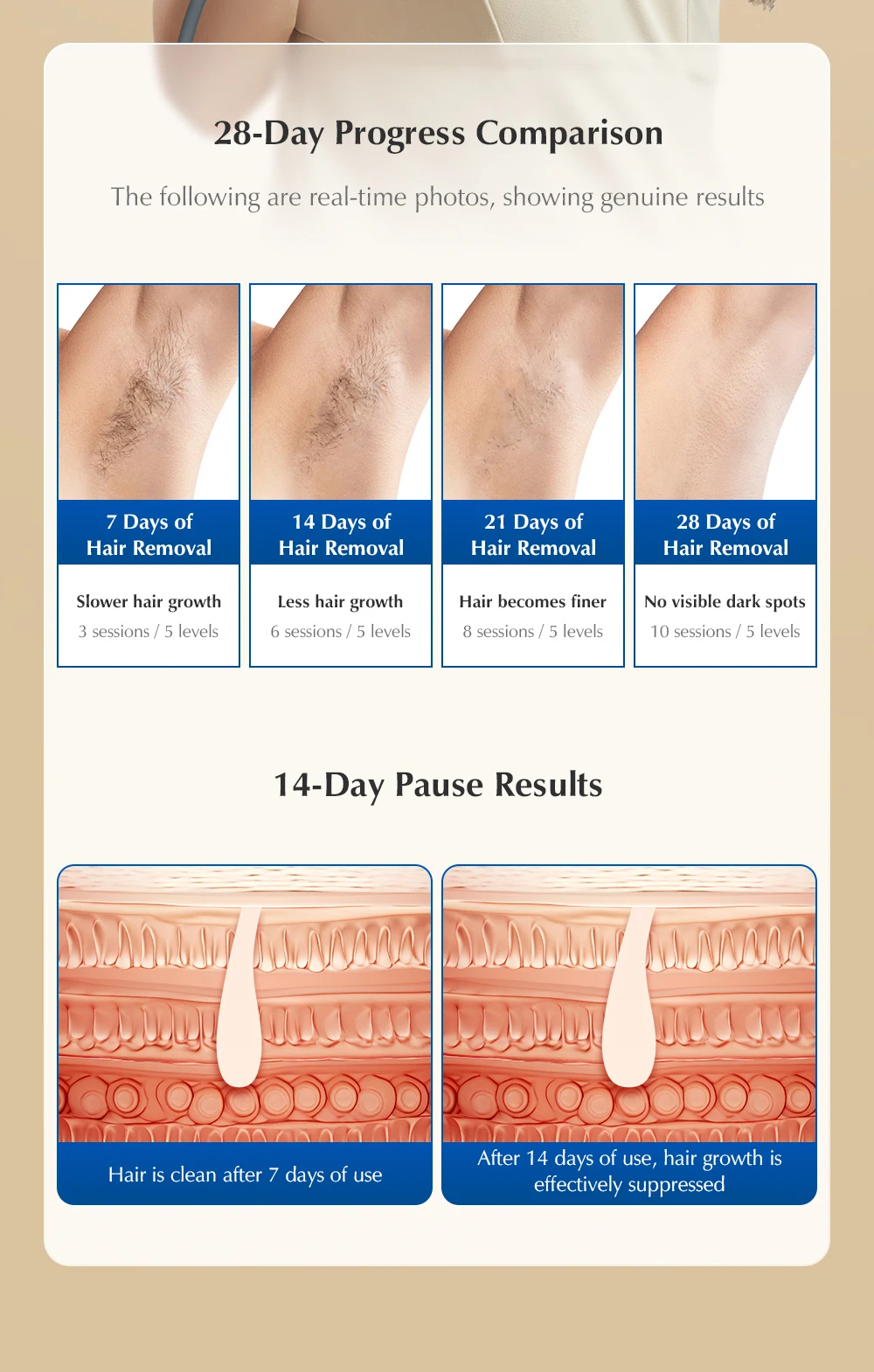 Sbbab1631184047088498c0b6a3d436a36