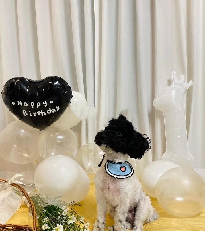 Slide image 5bb73536a357462d8c88ce4d8c6dfe69