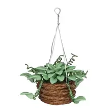 

Beautiful Resin Delicate Hanging Potted Model Scene Decoration for Role Play Dollhouse Potted Mini Green Plant