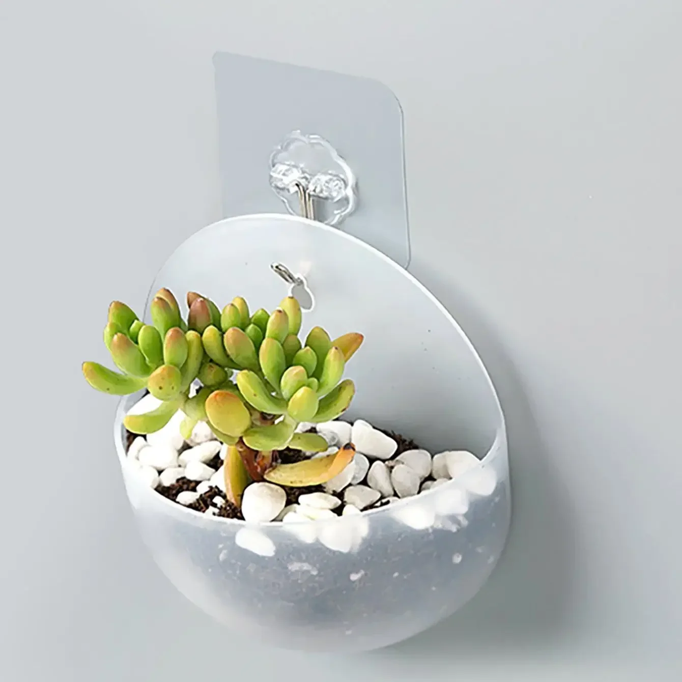 1pc, Home Hydroponics Wall Hanging Flower Pot Wall Hanging Type Flower Bottle Plastic  Wall Green Carrot Hanging Flower Pot