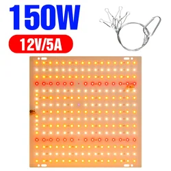 Full Spectrum LED Grow Lights for Indoor Plants and Hydroponics (150W)